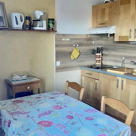 Apartment Aux Thermes Avec Parking Et Wifi - Fr-1-703-199 Amelie-les-Bains-Palalda